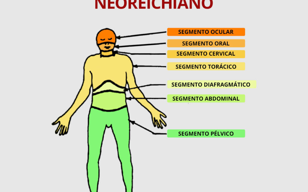 Diagnóstico Caracterológico Neoreichiano como herramienta extrapolable a otros marcos terapéuticos.